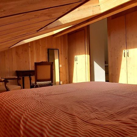 L'Annexe De Ma Cabane Bordeaux Exteriör bild
